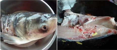 豆腐萝卜煮鱼头汤的做法的做法步骤1