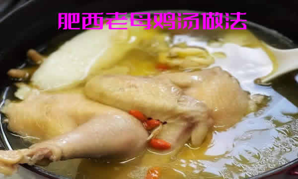 汤鲜肉美，营养价值高肥西老母鸡汤做法介绍