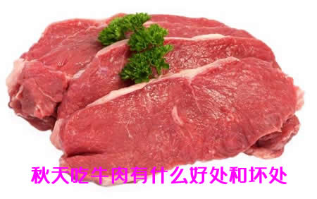 秋天吃牛肉会不会上火 秋天吃牛肉有什么好处和坏处