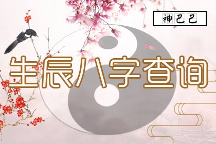 生辰八字查询：一种命理学的实践