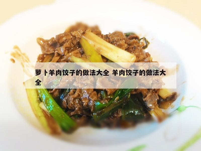 萝卜羊肉饺子的做法大全 羊肉饺子的做法大全