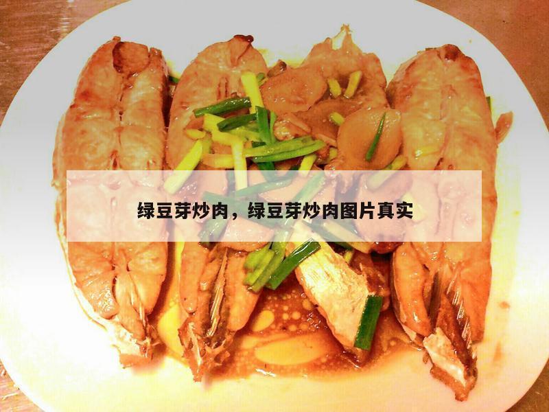 绿豆芽炒肉，绿豆芽炒肉图片真实