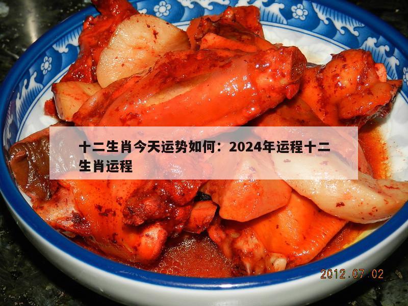 十二生肖今天运势如何：2024年运程十二生肖运程