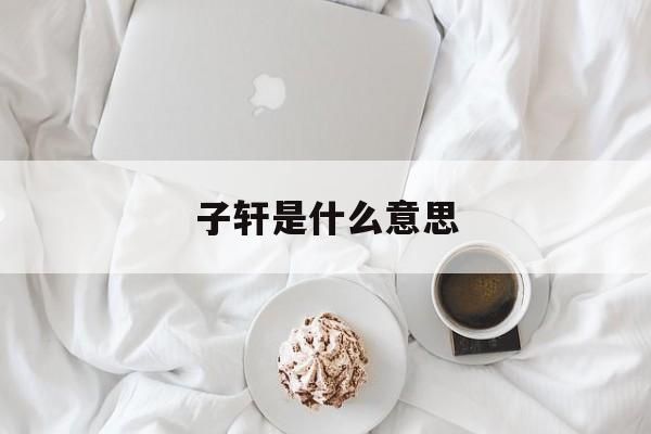 子轩是什么意思 子轩是什么意思和含义